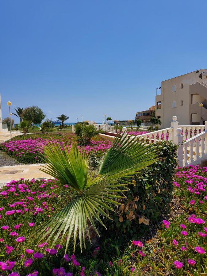 Las Bombardas Duplex Espectacular En Primera Linea Naturista! מראה חיצוני תמונה
